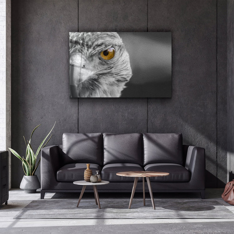 ・"Hawk"・Glass Wall Art | Artdesigna Glass Printing Wall Arts.