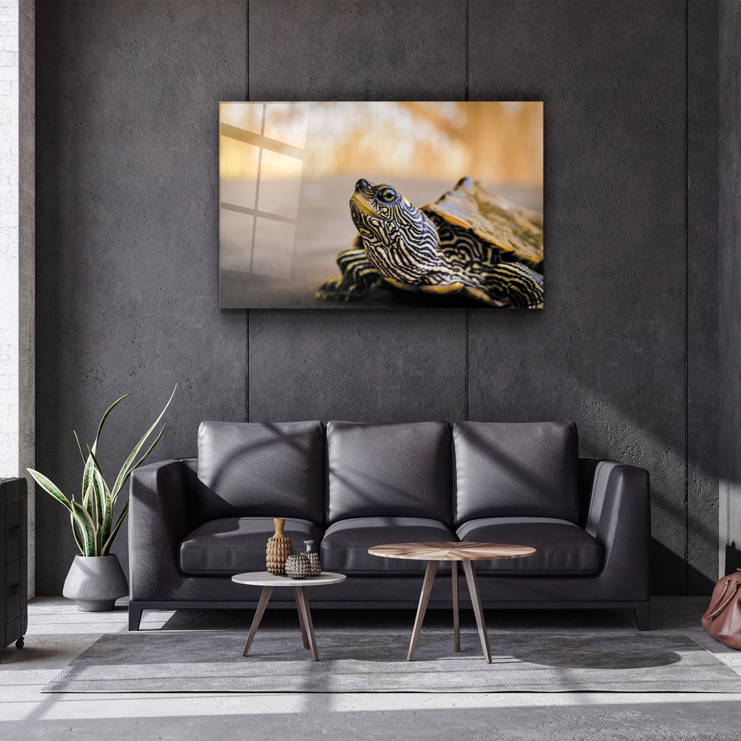 ・"Striped Turtle"・Glass Wall Art | Artdesigna Glass Printing Wall Arts.