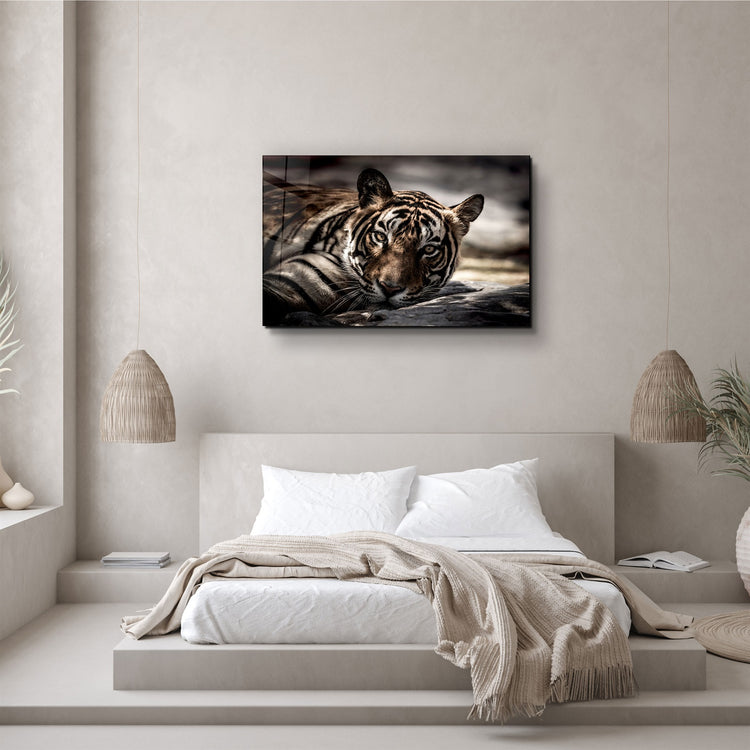 ・"Tired Tiger"・Glass Wall Art | Artdesigna Glass Printing Wall Arts.