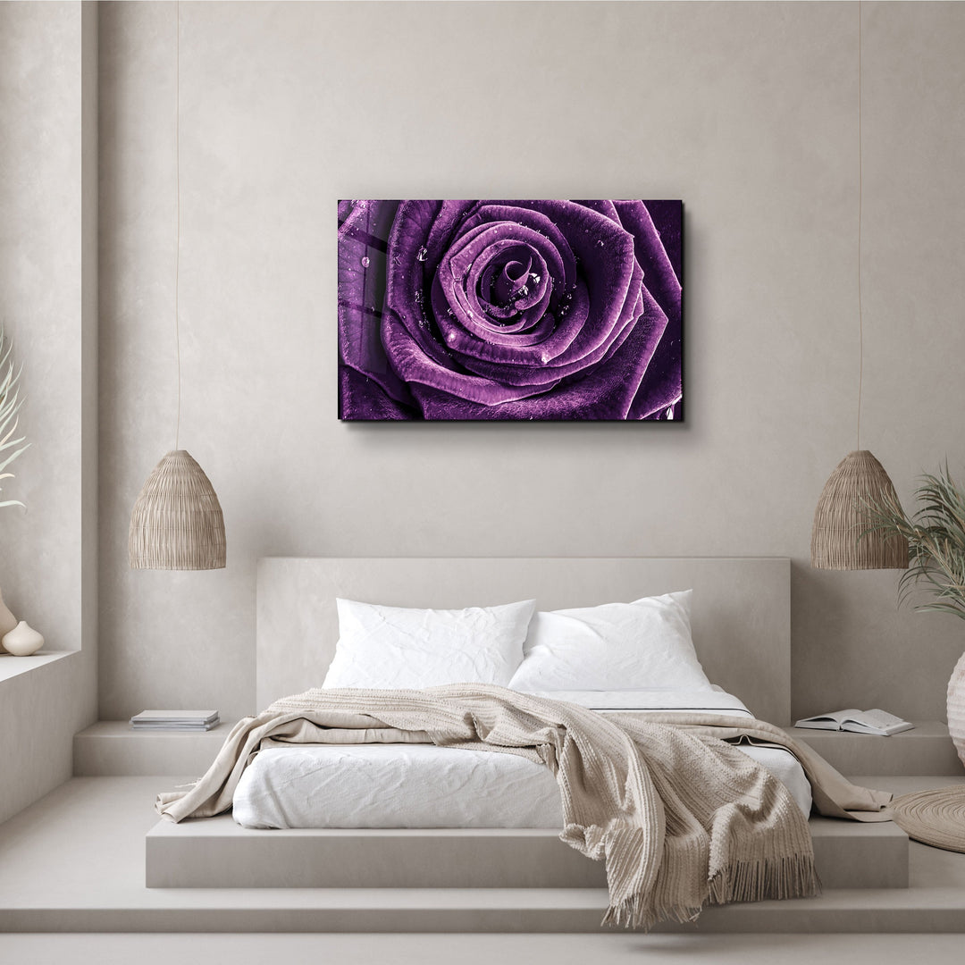 ・"Purple Rose V2"・Glass Wall Art | Artdesigna Glass Printing Wall Arts.