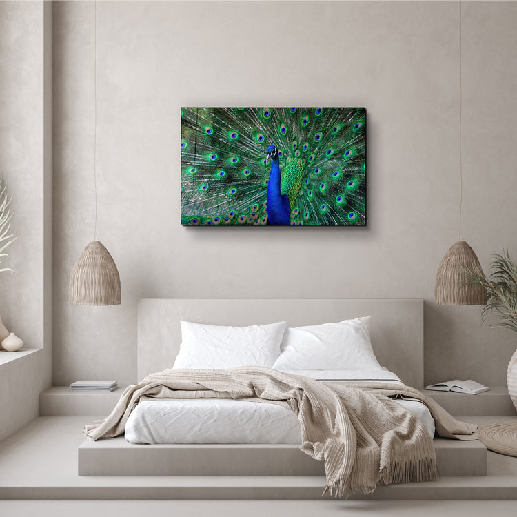 ・"The Peacock"・Glass Wall Art | Artdesigna Glass Printing Wall Arts.