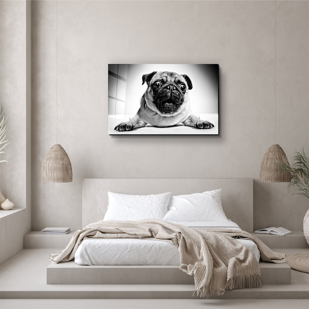 ・"Pug"・Glass Wall Art | Artdesigna Glass Printing Wall Arts.