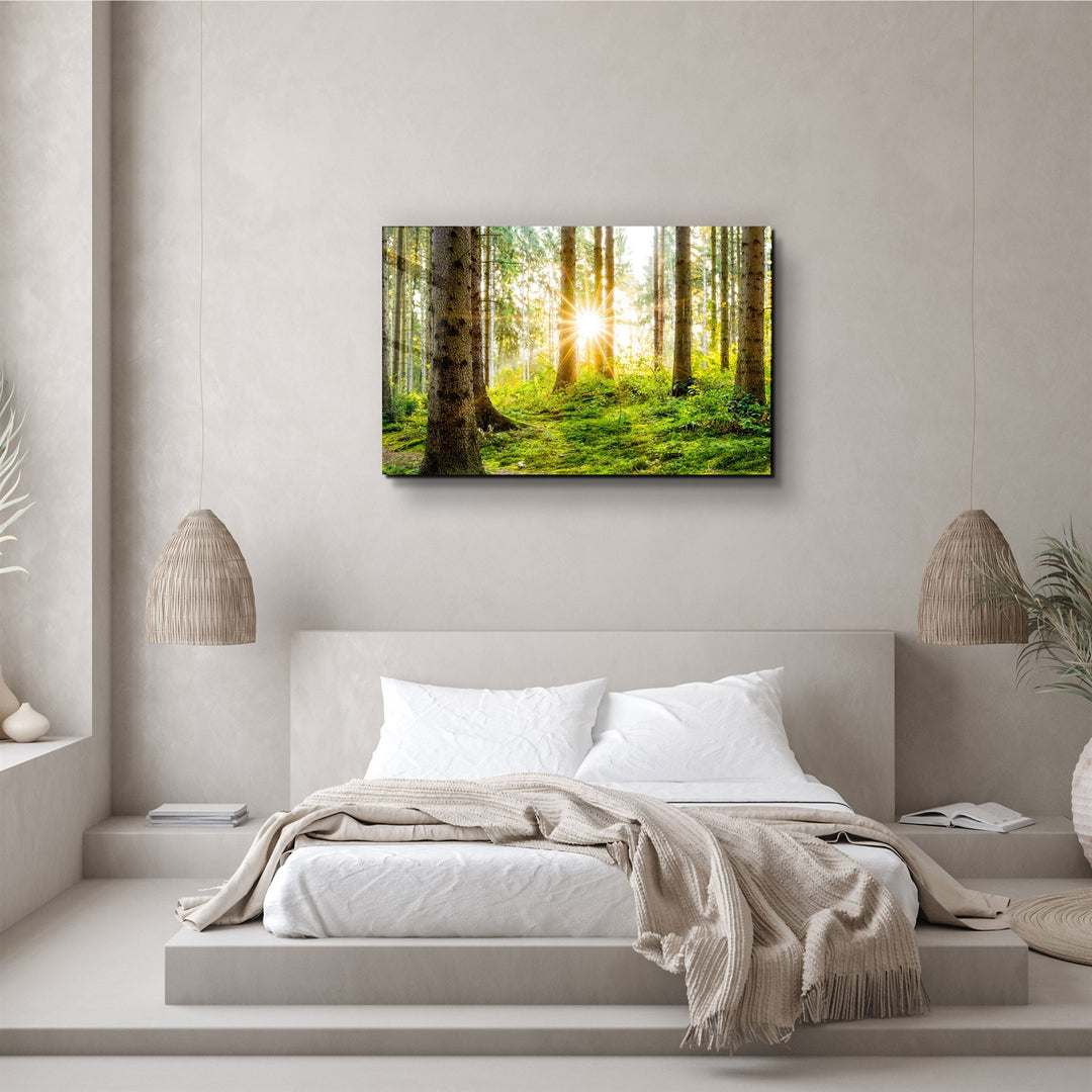 ・"The Forest"・Glass Wall Art | Artdesigna Glass Printing Wall Arts.