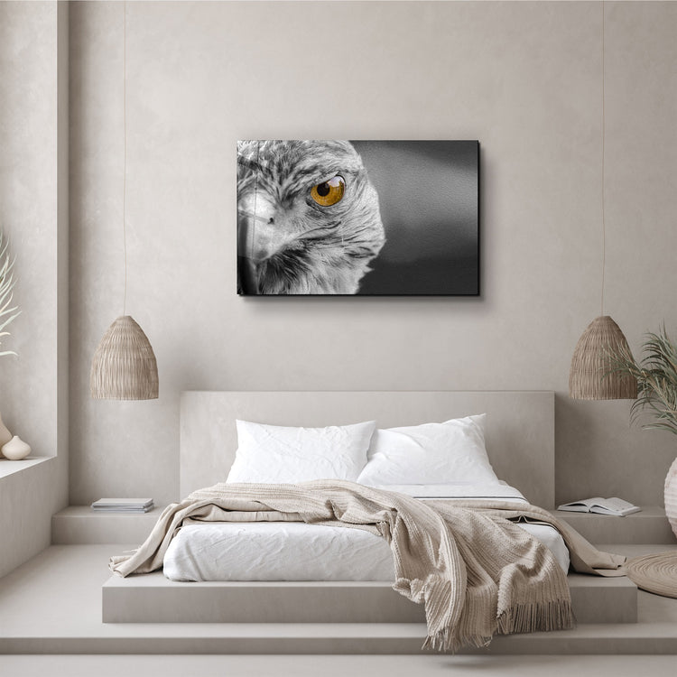 ・"Hawk"・Glass Wall Art | Artdesigna Glass Printing Wall Arts.