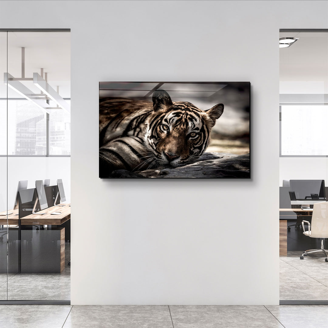 ・"Tired Tiger"・Glass Wall Art | Artdesigna Glass Printing Wall Arts.