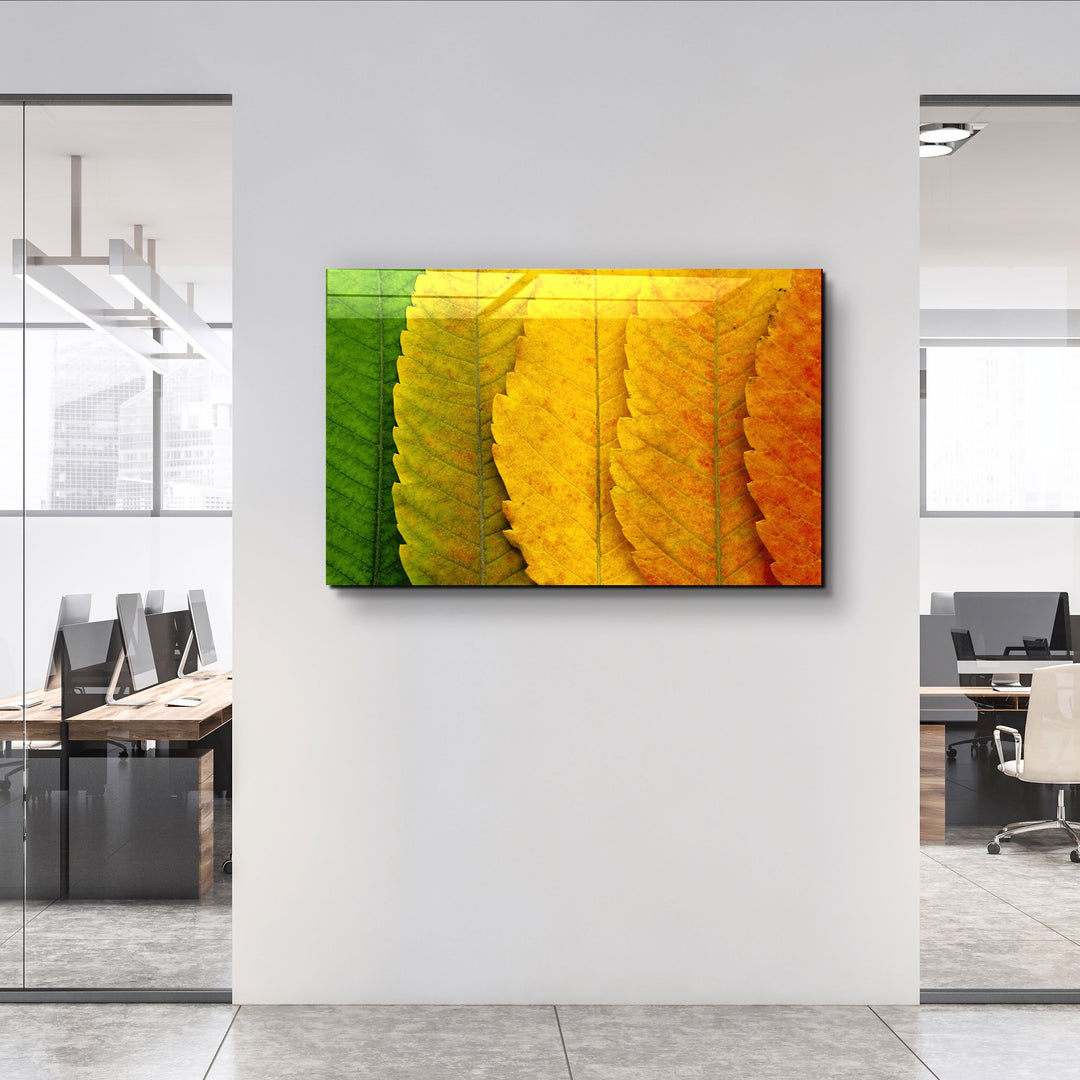 ・"Depth Of Focus"・Glass Wall Art | Artdesigna Glass Printing Wall Arts.