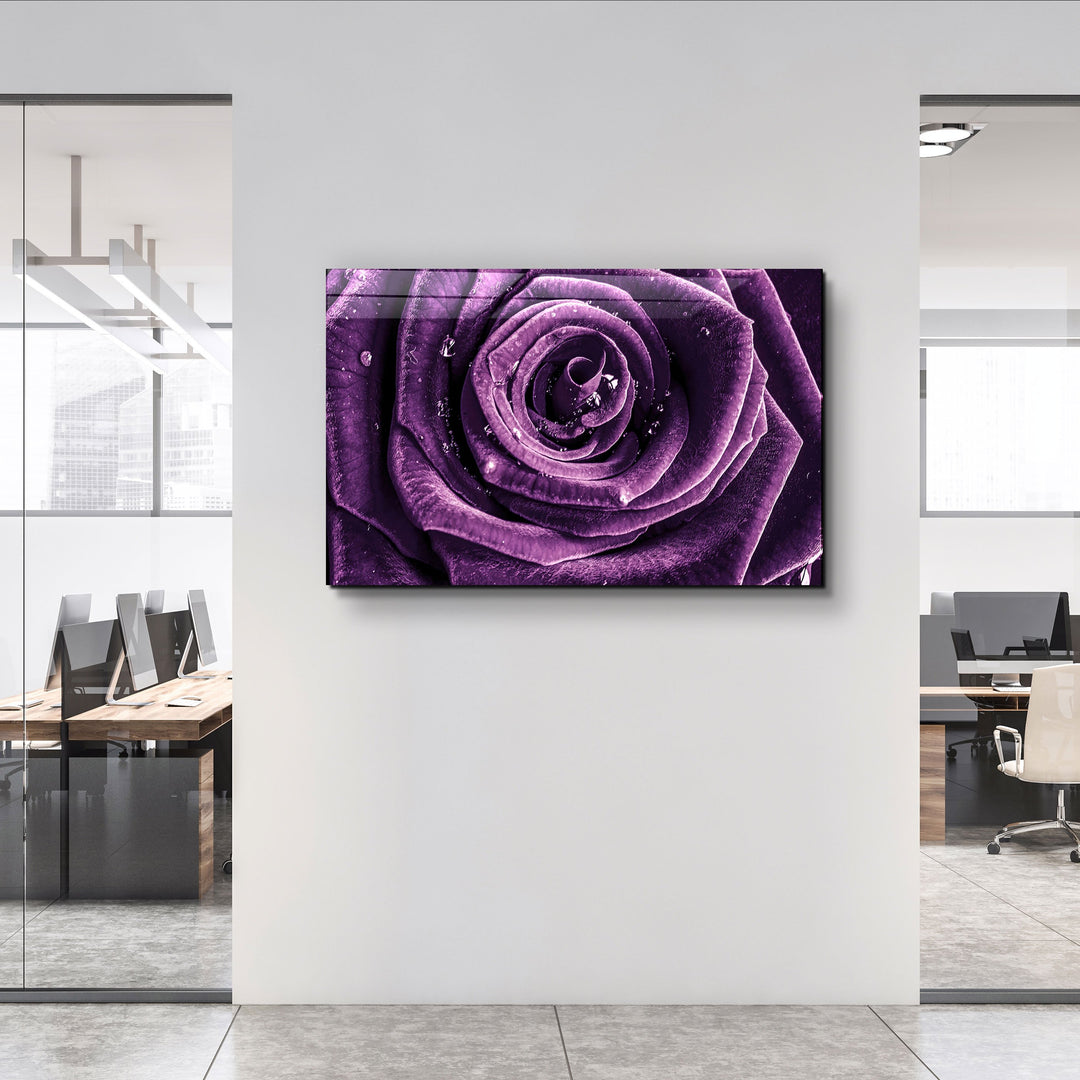 ・"Purple Rose V2"・Glass Wall Art | Artdesigna Glass Printing Wall Arts.