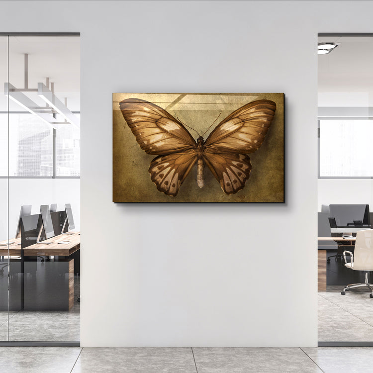 ・"Vintage Butterfly"・Glass Wall Art | Artdesigna Glass Printing Wall Arts.