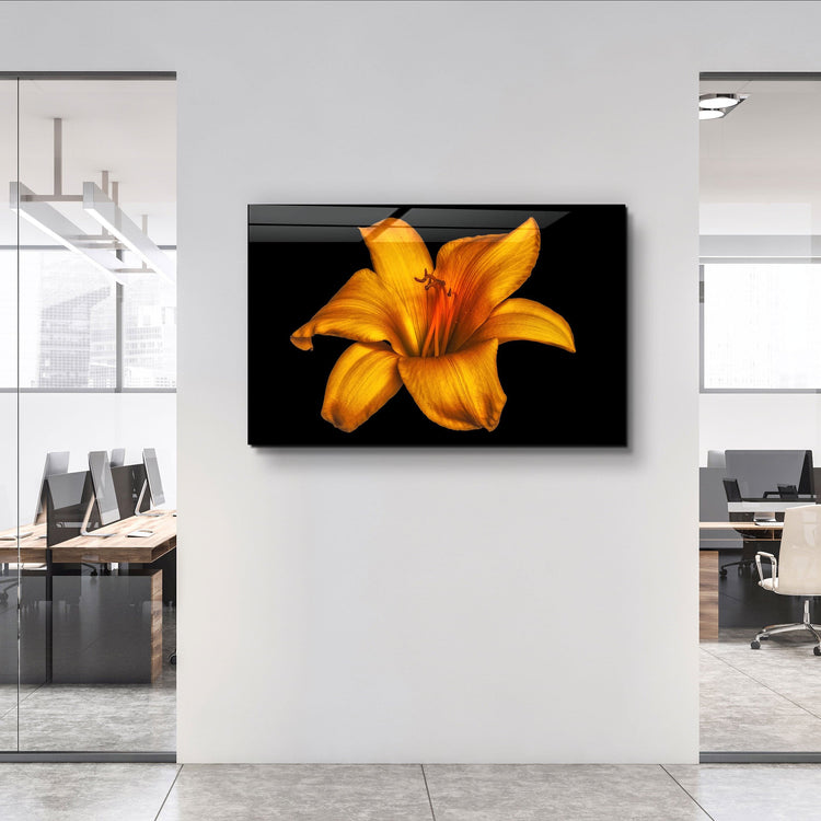 ・"Orange Lily"・Glass Wall Art | Artdesigna Glass Printing Wall Arts.