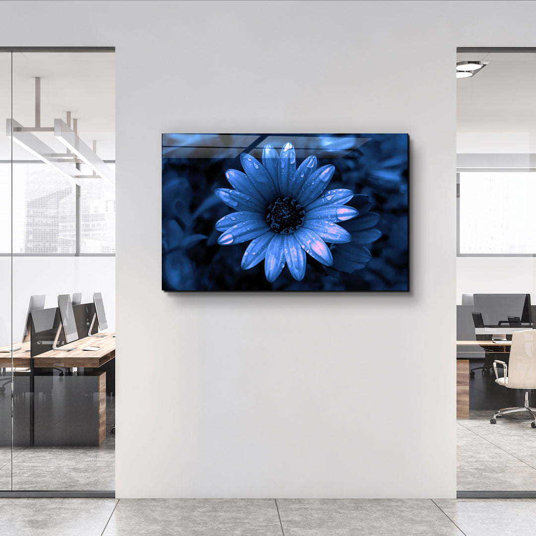 ・"Blue Daisy"・Glass Wall Art | Artdesigna Glass Printing Wall Arts.