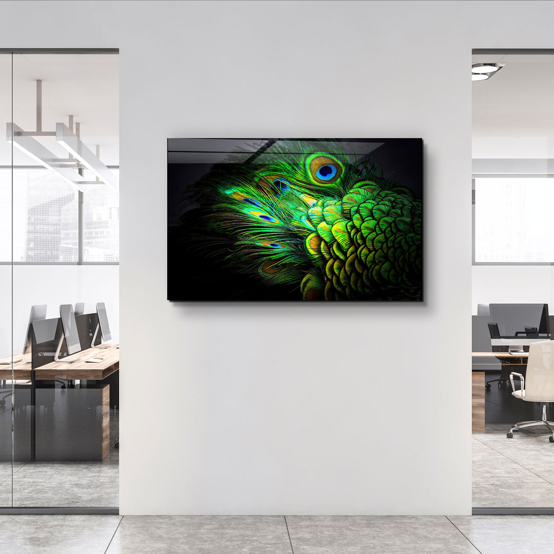 ・"Peacock Feather"・Glass Wall Art | Artdesigna Glass Printing Wall Arts.