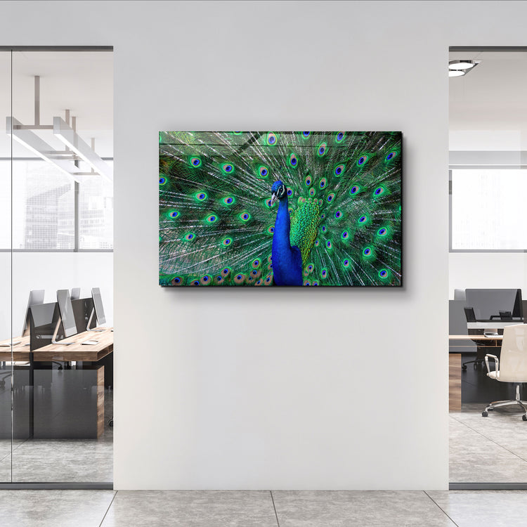 ・"The Peacock"・Glass Wall Art | Artdesigna Glass Printing Wall Arts.