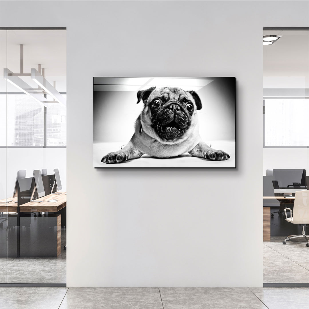 ・"Pug"・Glass Wall Art | Artdesigna Glass Printing Wall Arts.