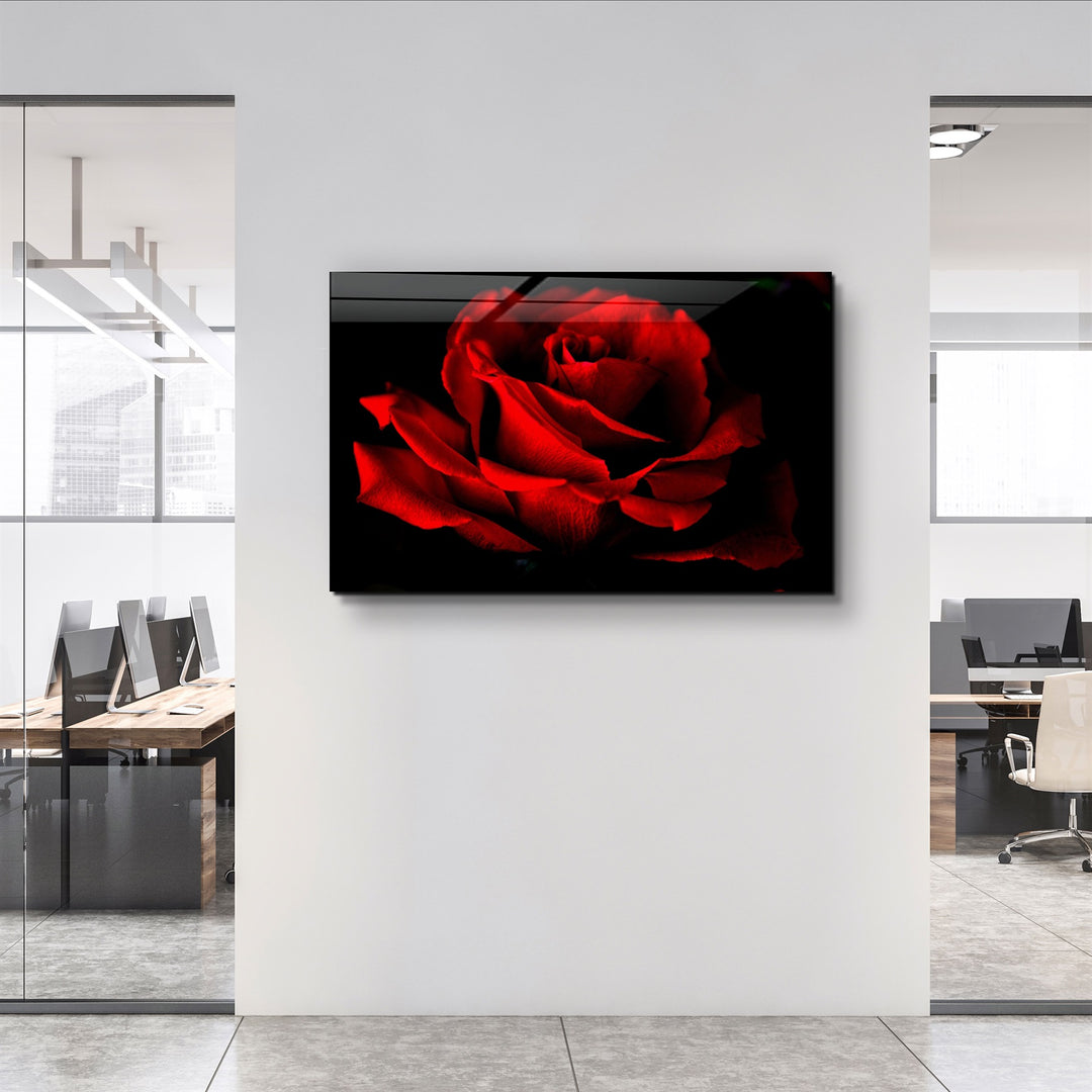 ・"Red Rose"・Glass Wall Art | Artdesigna Glass Printing Wall Arts.