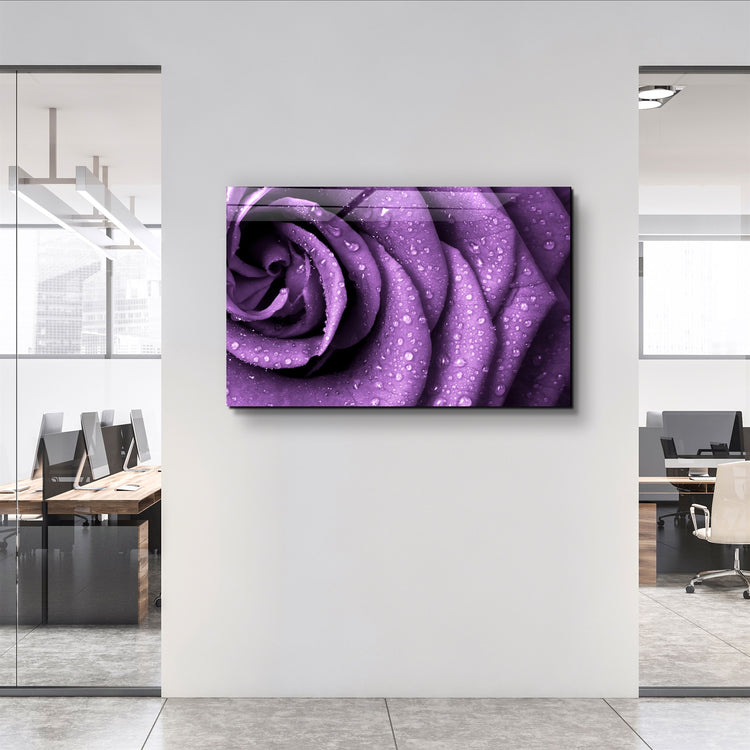 ・"Purple Rose"・Glass Wall Art | Artdesigna Glass Printing Wall Arts.