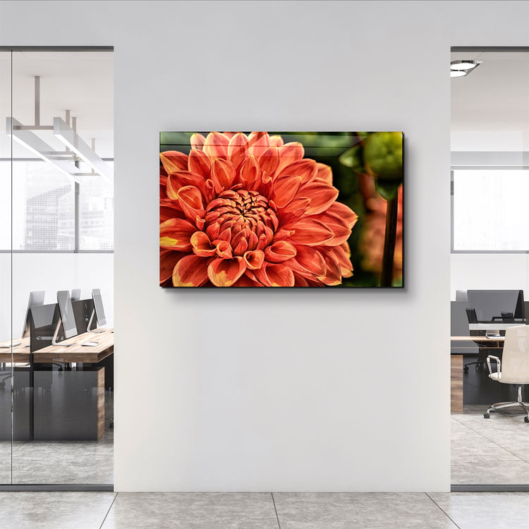 ・"Orange Gerbera"・Glass Wall Art | Artdesigna Glass Printing Wall Arts.