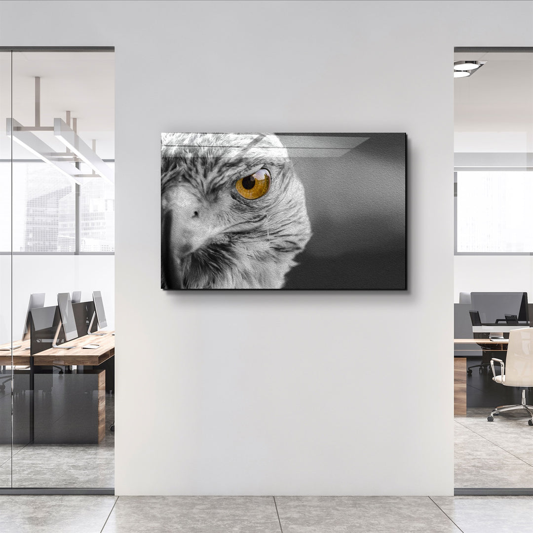 ・"Hawk"・Glass Wall Art | Artdesigna Glass Printing Wall Arts.