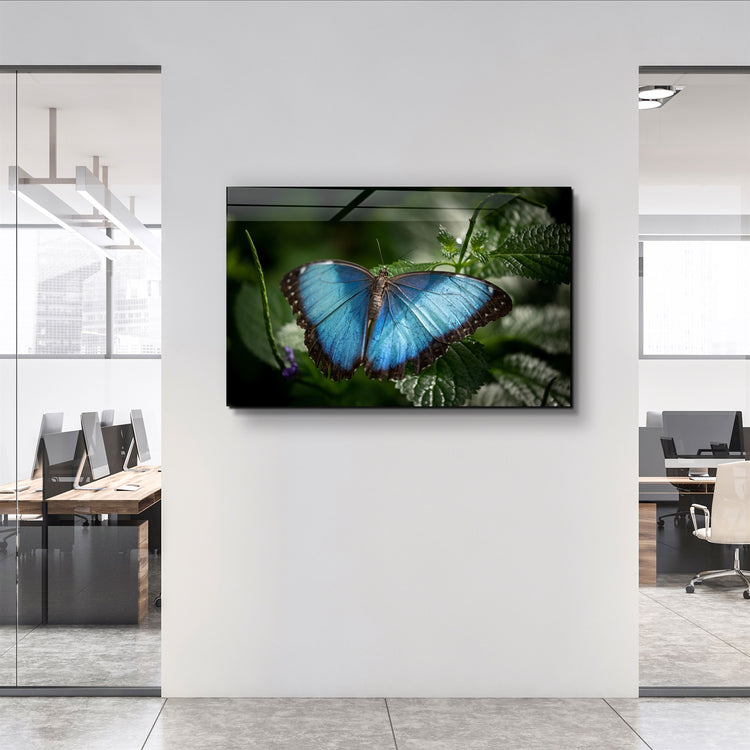 ・"Butterfly Bluewing"・Glass Wall Art | Artdesigna Glass Printing Wall Arts.