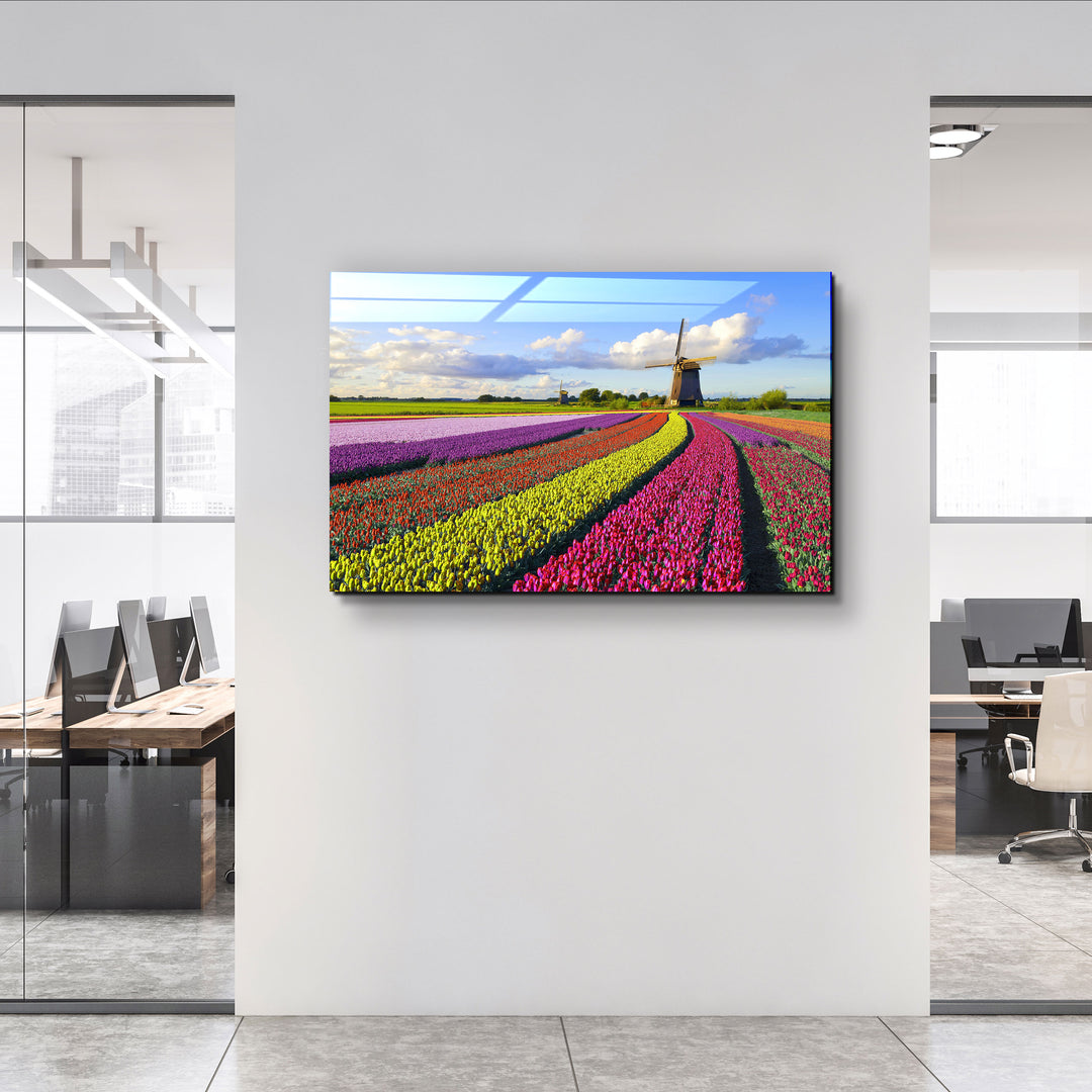 ・"Tulips Of Amsterdam"・Glass Wall Art | Artdesigna Glass Printing Wall Arts.