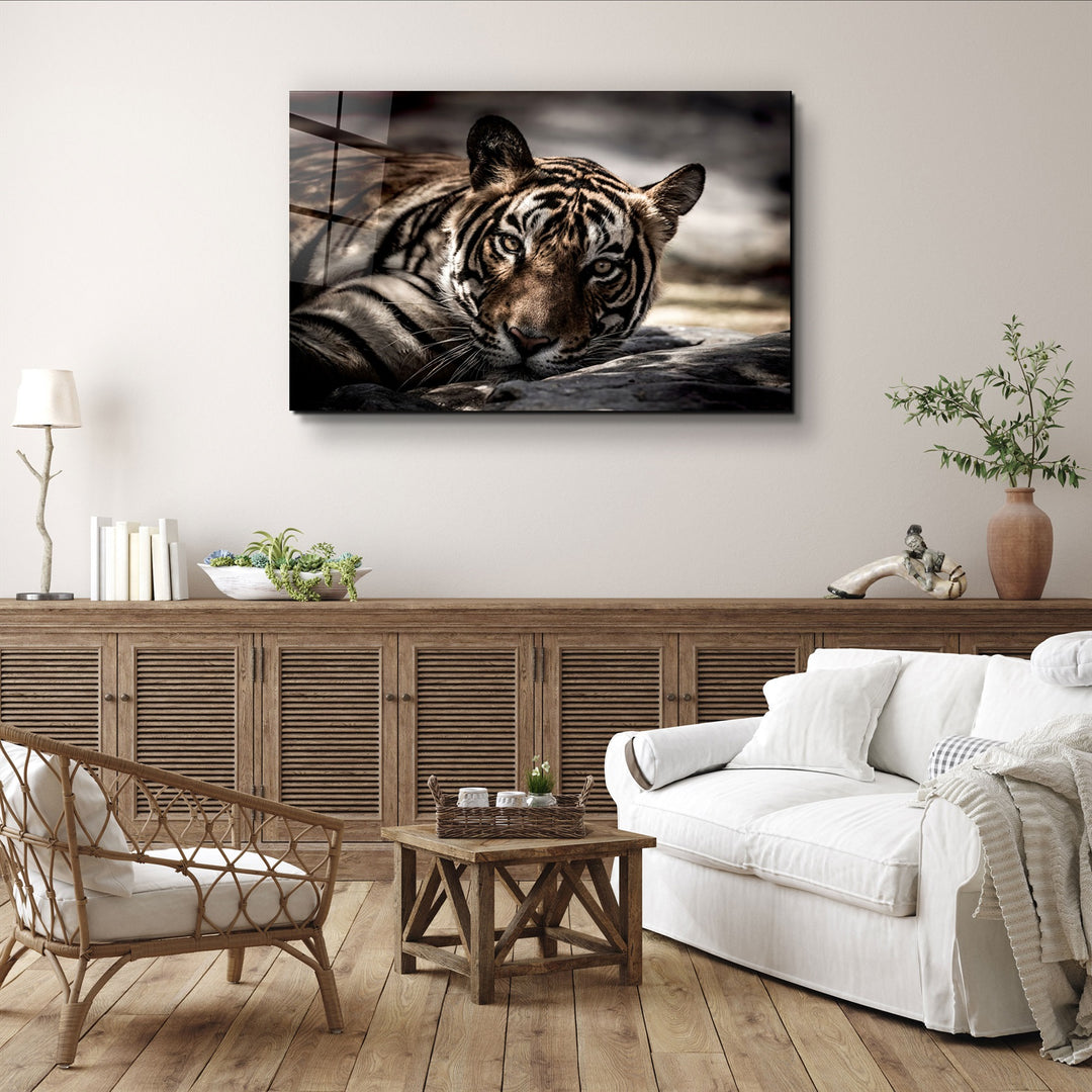 ・"Tired Tiger"・Glass Wall Art | Artdesigna Glass Printing Wall Arts.