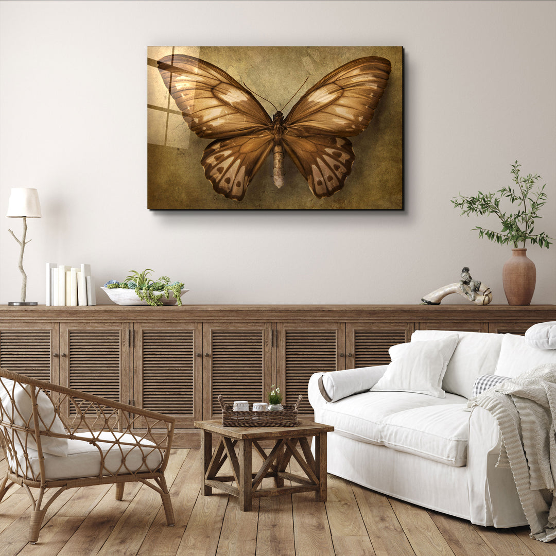 ・"Vintage Butterfly"・Glass Wall Art | Artdesigna Glass Printing Wall Arts.