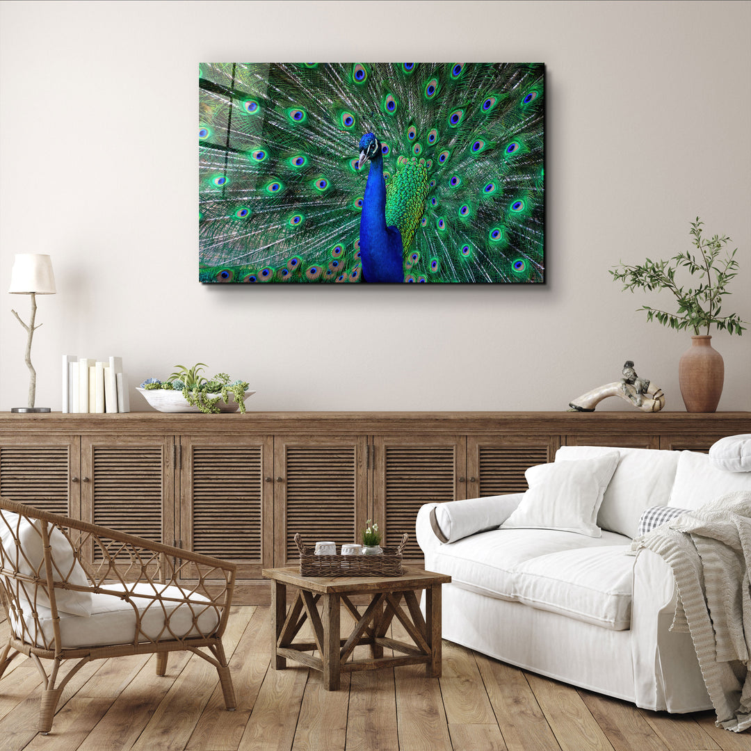 ・"The Peacock"・Glass Wall Art | Artdesigna Glass Printing Wall Arts.