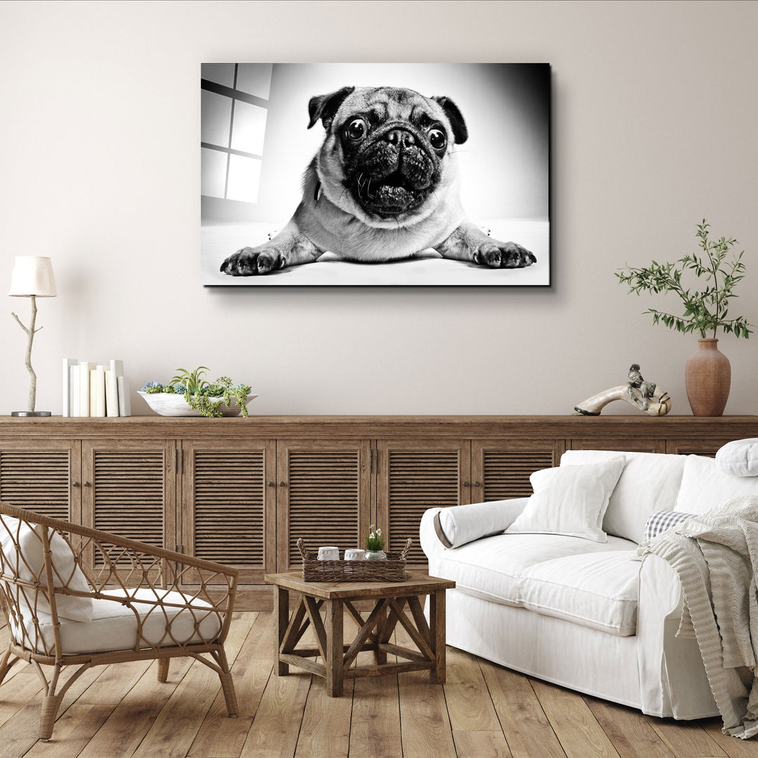 ・"Pug"・Glass Wall Art | Artdesigna Glass Printing Wall Arts.