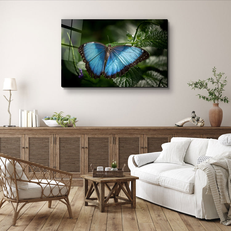 ・"Butterfly Bluewing"・Glass Wall Art | Artdesigna Glass Printing Wall Arts.